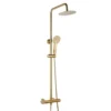 Niagara Equate Round Brushed Brass Thermostatic Dual Head Shower Set