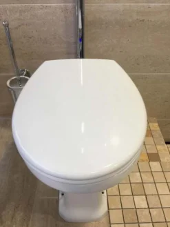 Croydex Luminoso Illuminated Toilet Seat - Light Up 7 Croydex Luminoso Illuminated Toilet Seat - Light Up -Home Bathroom IMG 5004 2