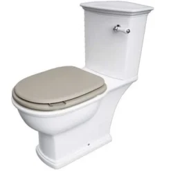 Washington Close Coupled Open Back Lever Flush WC With Soft Close Seat Cappuccino - RAK Ceramics