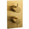 Niagara Equate Brushed Brass Twin Concealed Shower Valve - Single Outlet